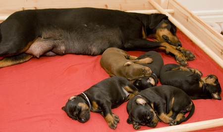 Iskra med de sm� i B-kullen