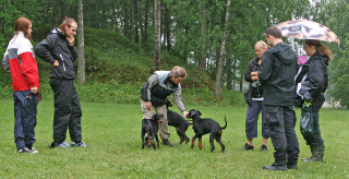 N�gra ur C-kullen busar