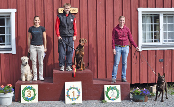 Pimpim �verst p� pallen