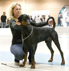 Ares