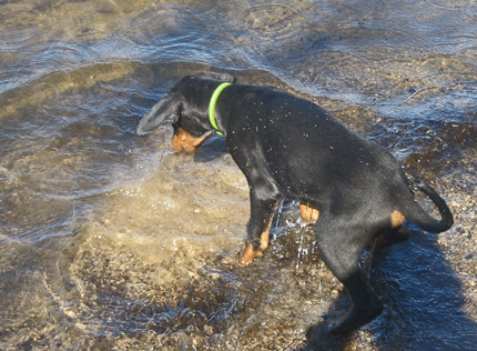 Ares