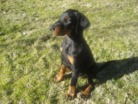 Ares