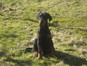 Ares