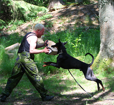 Ares