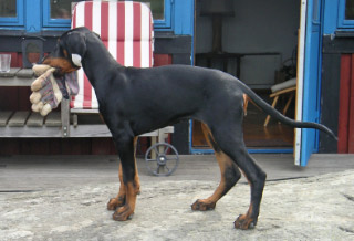 Emla