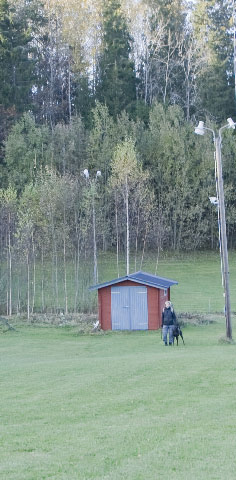 Molecularis mt korning 2009