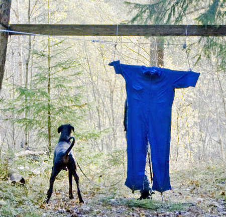 Molecularis mt korning 2009