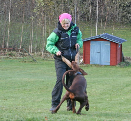 Molecularis mt korning 2009