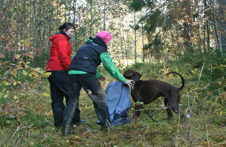 Molecularis mt korning 2009