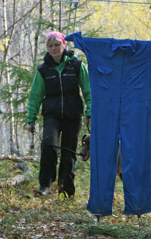 Molecularis mt korning 2009