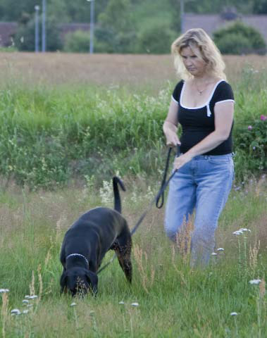Molecularis sommaren 2008