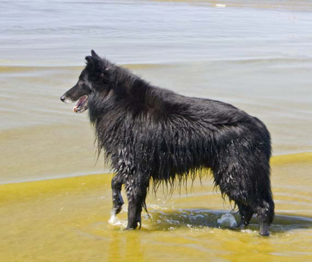 Molecularis sommaren 2008