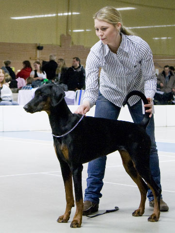 Svea