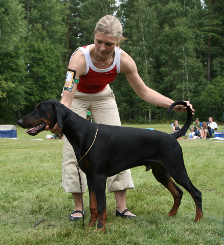Molecularis Utst�llning S�dert�lje 2007