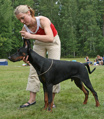 Molecularis Utst�llning S�dert�lje 2007