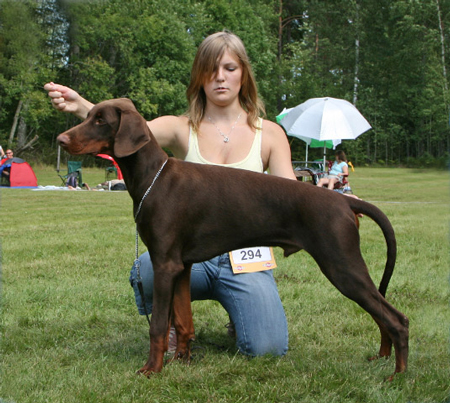 Molecularis Utst�llning S�dert�lje 2007