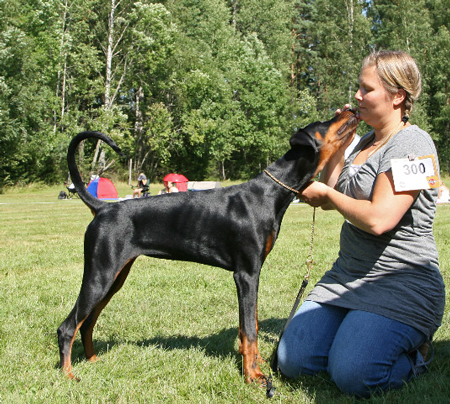 Molecularis Utst�llning S�dert�lje 2007